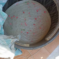 Palangaro di profondità