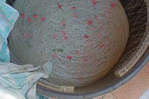 Palangaro di profondità