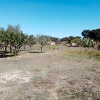 Ploaghe, Terreno con casetta