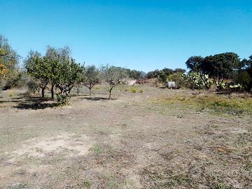 Ploaghe, Terreno con casetta