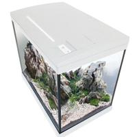Acquario completo 50 litri