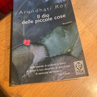 Il dio delle piccole cose