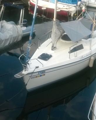 Barca a vela Navikom Viko 20