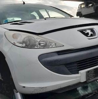 RICAMBI Peugeot 206 PLUS 5P 1.1B anno 2011 - EH883
