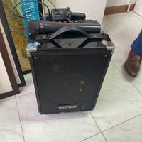 Cassa amplificata Fenton