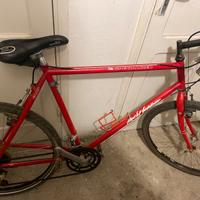 Bicicletta specialized rockhopper