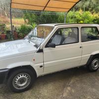 Panda 1 serie 1100 young multipoint