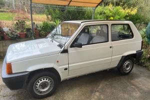 Panda 1 serie 1100 young multipoint