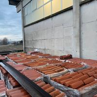 coppi in condizioni perfette