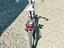Immagine 4