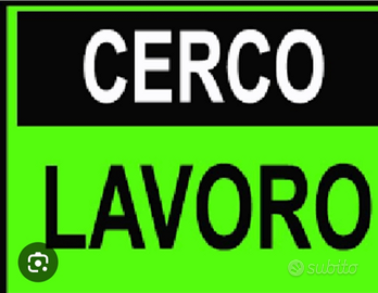 Lavapiatti pulizie badante