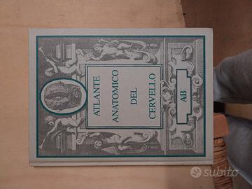 Atlante anatomico del cervello