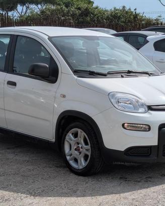 FIAT Panda 1.0Hybrid Citylife 70cv