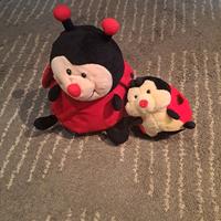 n.2 peluche coccinella