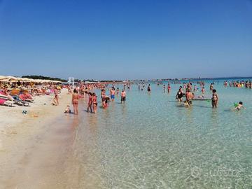 50m dalla spiaggia di TLapillo centro villetta