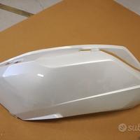 Carena Peugeot Satelis