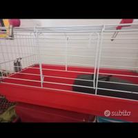 Lettiera per criceti o topini