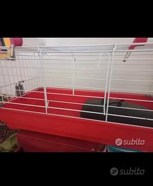 Lettiera per criceti o topini