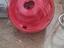 Immagine 1
