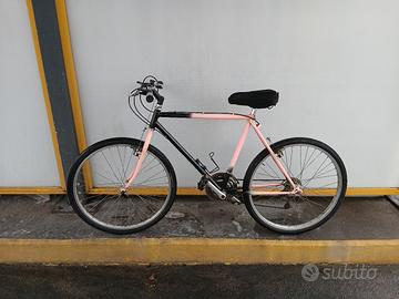 bicicletta 