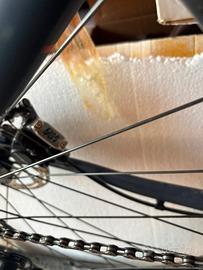 Bicicletta