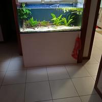 Acquario con mobile