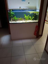 Acquario con mobile