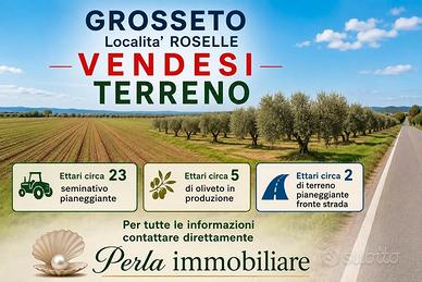 Terreni a roselle maremma toscana