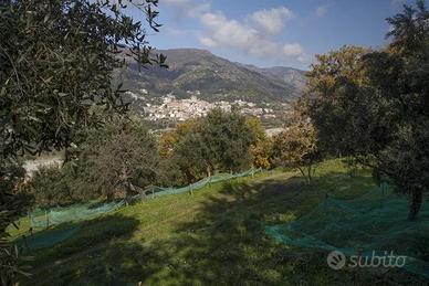 Uliveto Bagaladi ( RC )