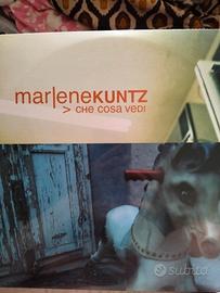 Marlene Kuntz - Che cosa vedi (vinile)