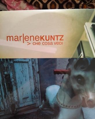 Marlene Kuntz - Che cosa vedi (vinile)