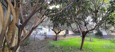 Indipendente con giardino privato