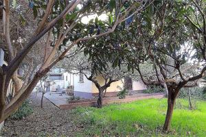 Indipendente con giardino privato