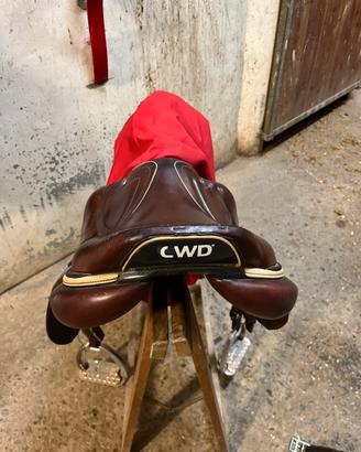 Sella cwd