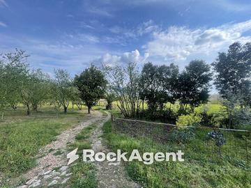 Terreno di 21569 m² a San Cipriano Picentino