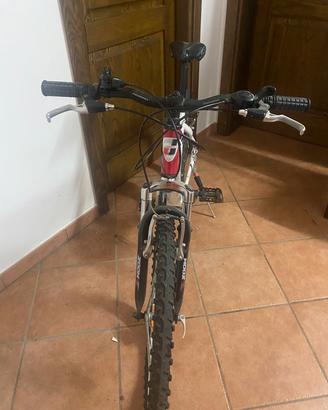 bicicletta bambino 