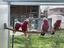Immagine 3