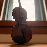 Violino Joh. Bapt. Schweitzer