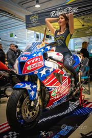 Honda VTR 1000 - 2001