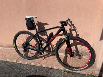 Mtb 29 sworks specialized