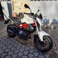 Benelli BN 302 - 2015