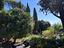 Immagine 18