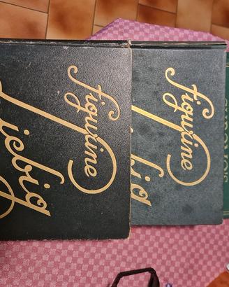 collezione figurine liebig 16 album