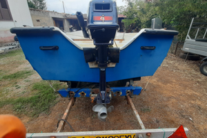 Barca in vetroresina