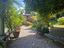Immagine 9