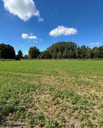 Terreno di 30000 m² a Ferrara