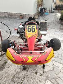 Kart a marce TM k9