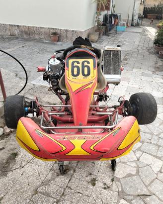 Kart a marce TM k9