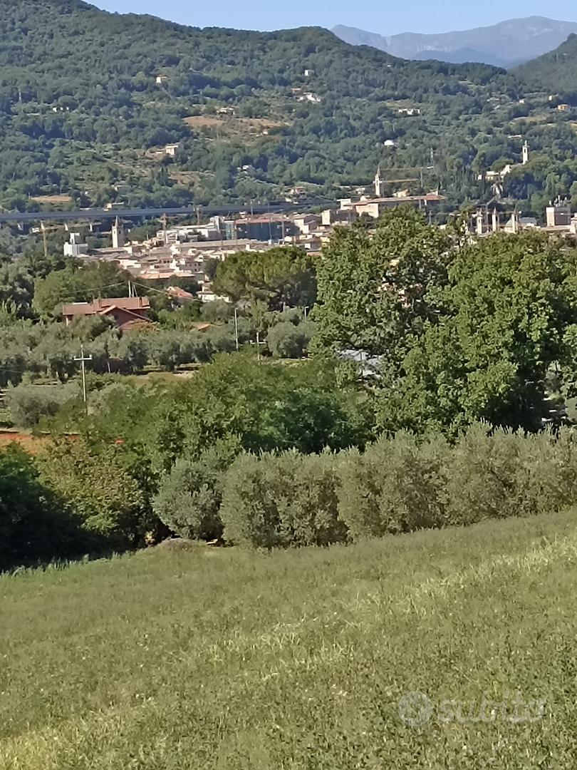 Terreno agricolo - Altro