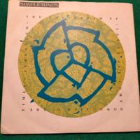 DISCO VINTAGE 45 GIRI DEI SIMPLE MINDS IN VINILE 